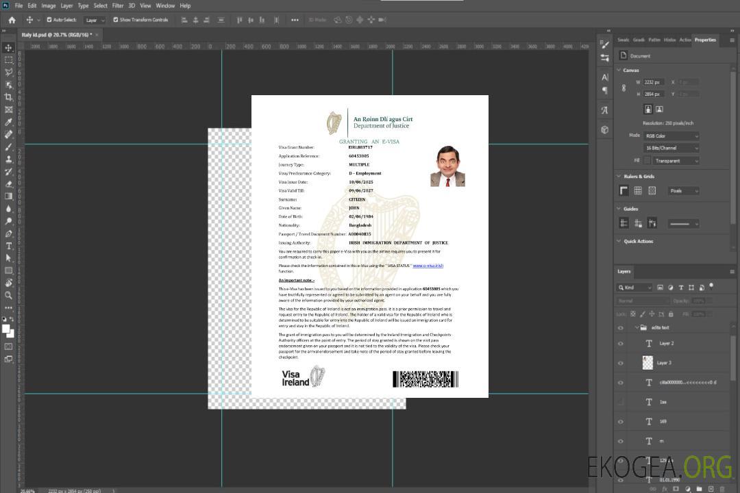 Modèle de visa électronique pour l'Irlande aux formats Word et PDF template